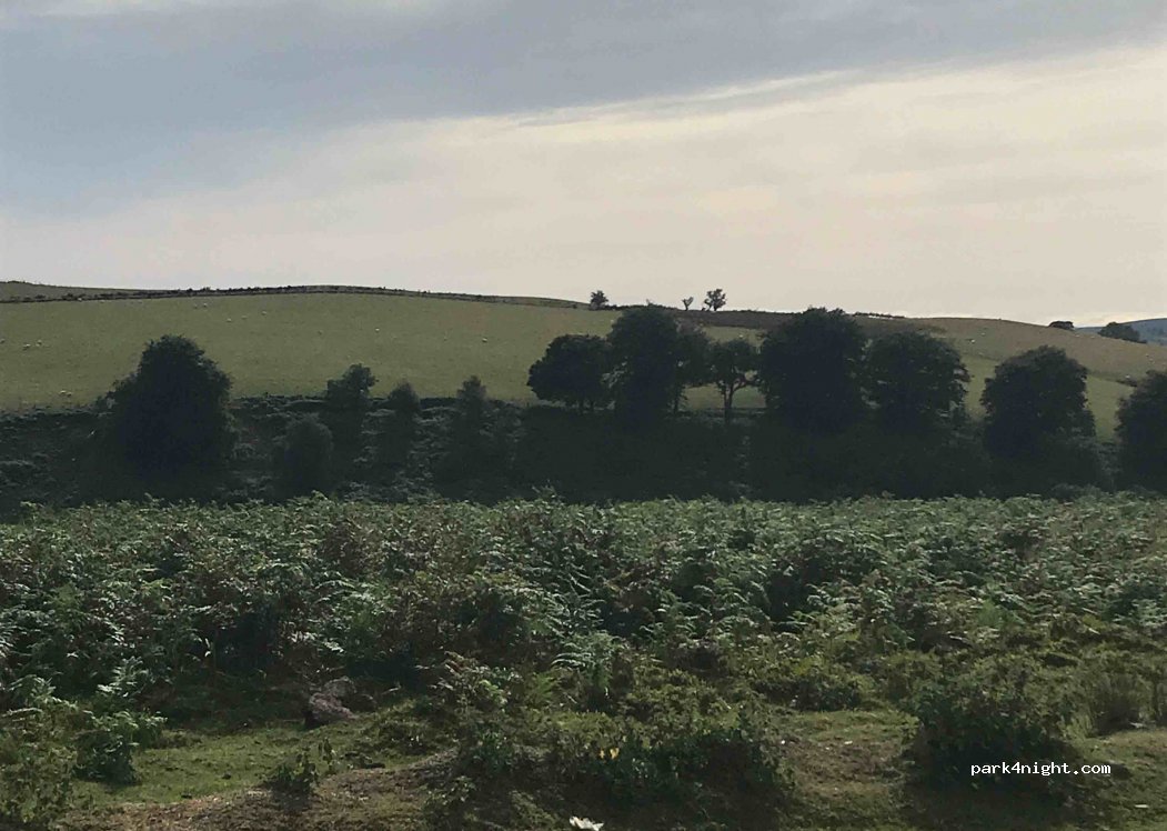 (SY5)  - Unnamed Road — foto 2