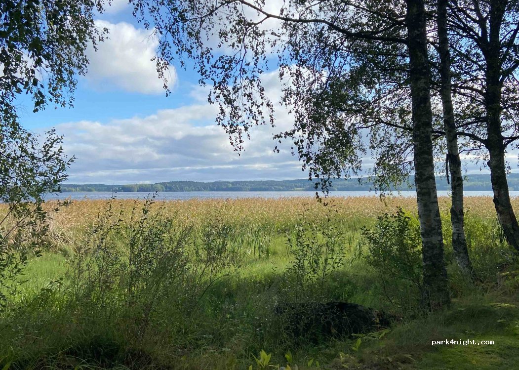 Säynäniemen Leirintäalue — foto 2