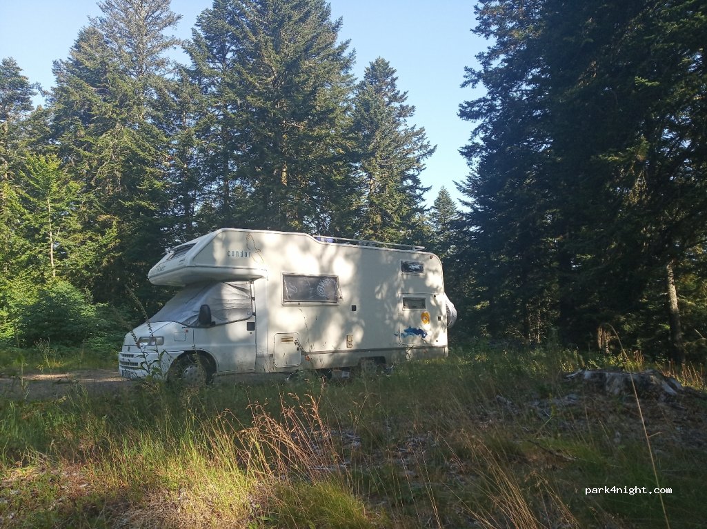 (63680) La Tour-d'Auvergne - 5 D645 — foto