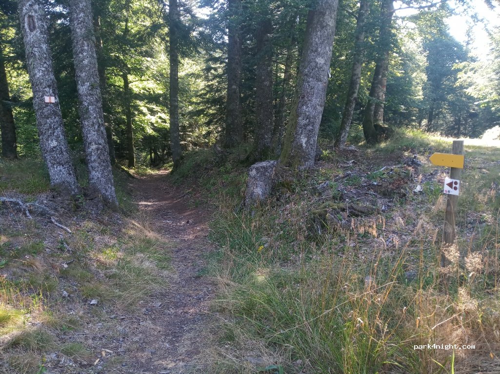 (63680) La Tour-d'Auvergne - 5 D645 — foto 2