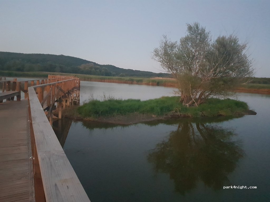 (30700) La Capelle-et-Masmolène - Étang de la Capelle — foto