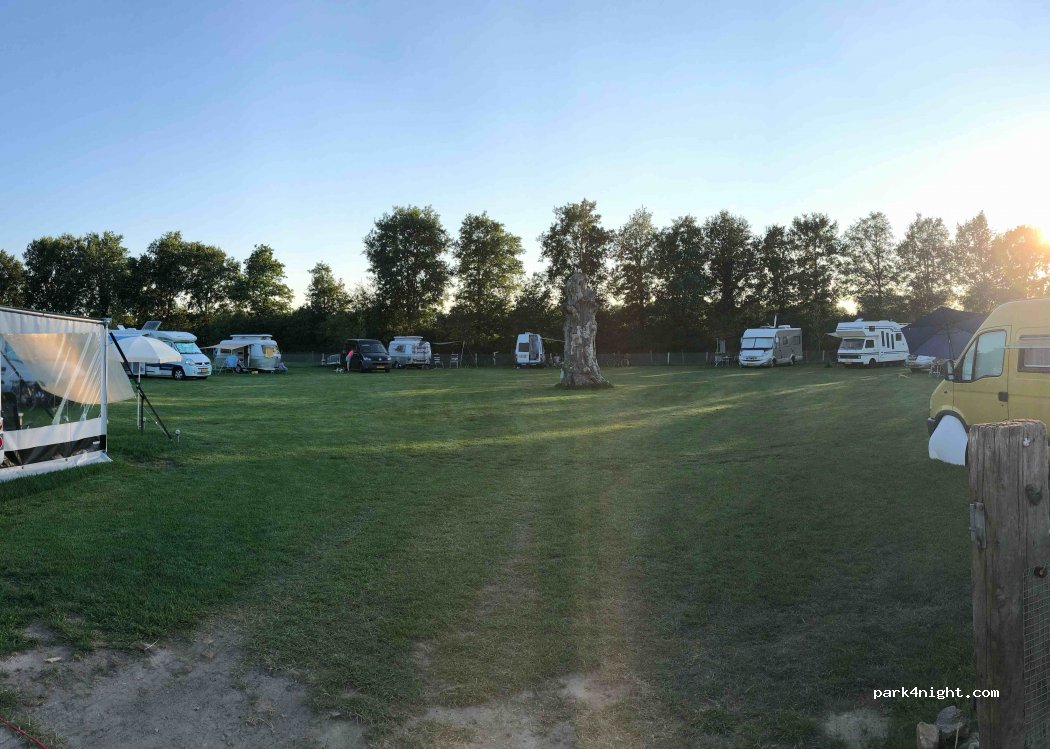 Camping de waterbuffelfarm Oldemarkt — foto
