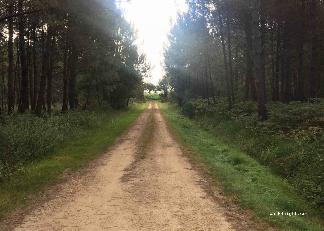 (56410) Erdeven - Kerhiennic — foto