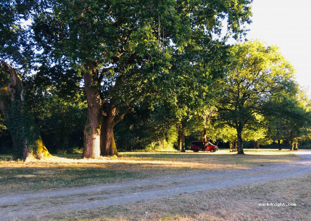(40250) Souprosse - 1250 Bac Road — foto 3