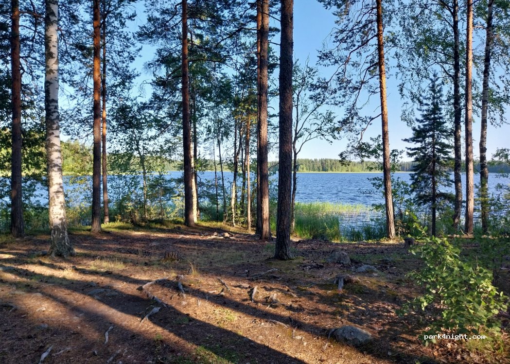 (58500) Savonlinna - 169 Kesälahdentie — foto 3