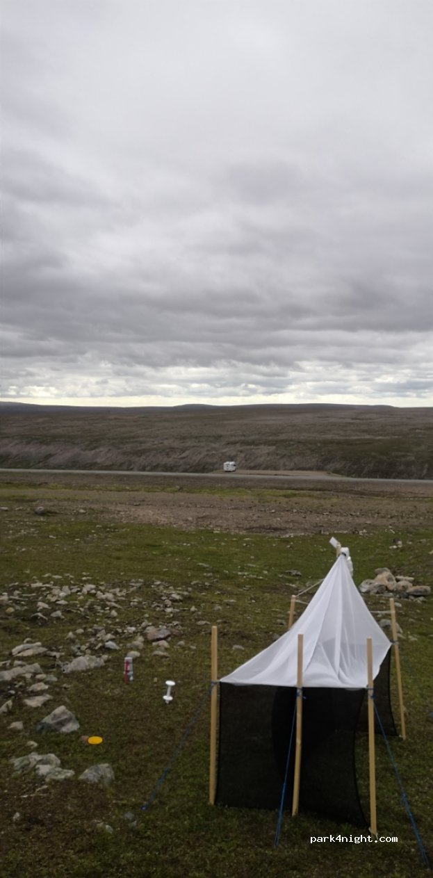 (9980)  - Primær Fylkesveg 891 — foto 2
