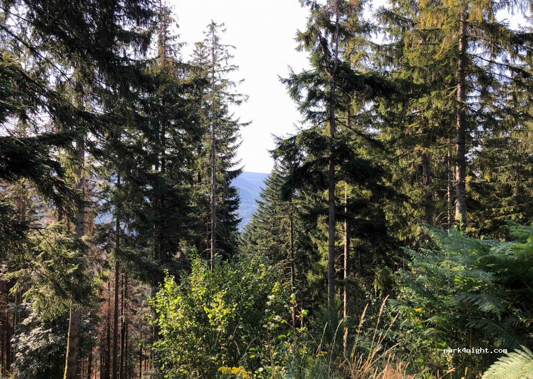 (88120) Sapois - 5 Route de la Sotière — foto 2