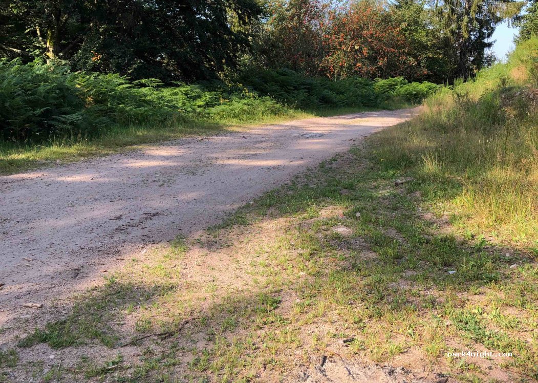 (88120) Sapois - 5 Route de la Sotière — foto 3