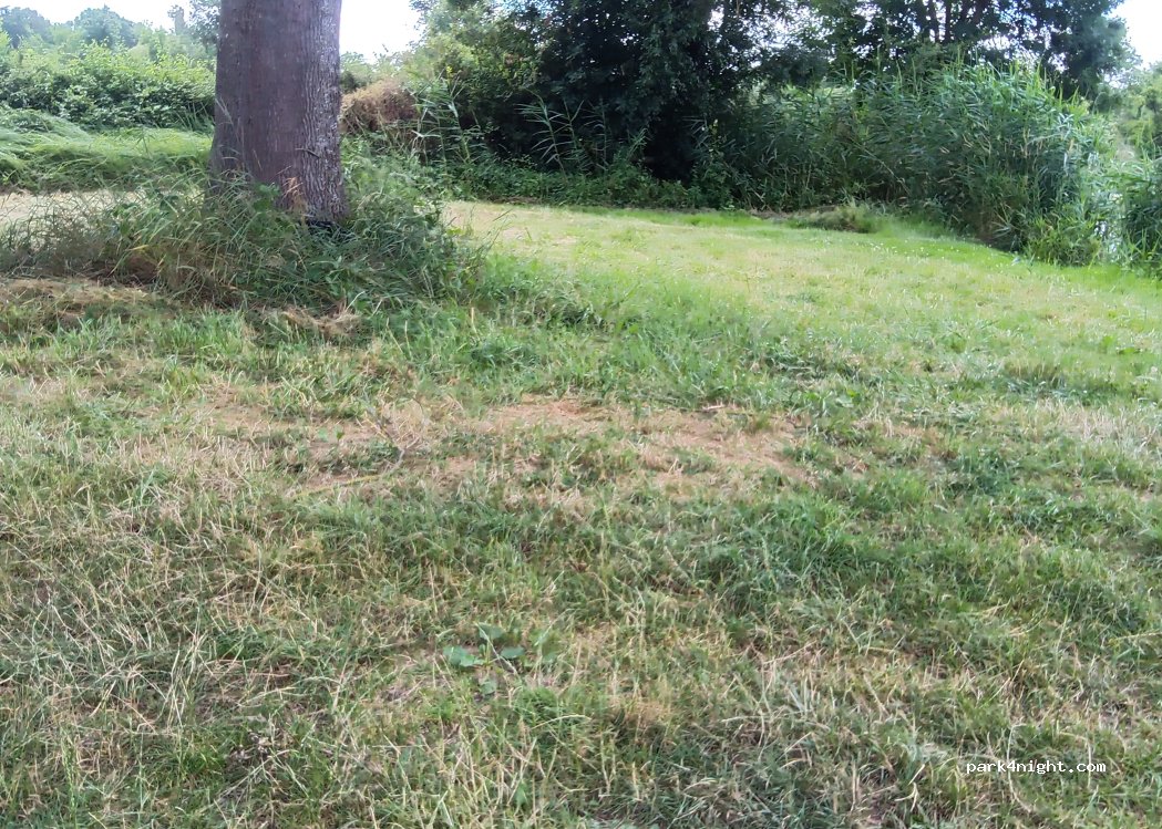 (71460) Malay - 4 Chemin du Vieux Moulin — foto 5