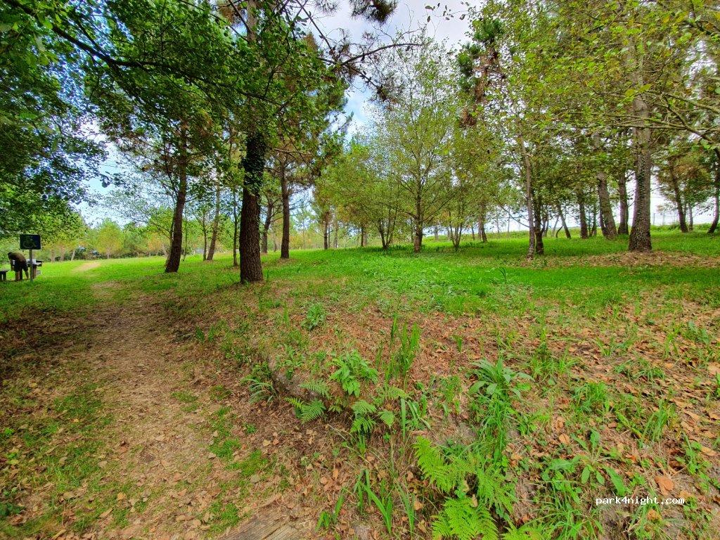 (33787) Valdés - 200 Carretera Nacional 634 — foto
