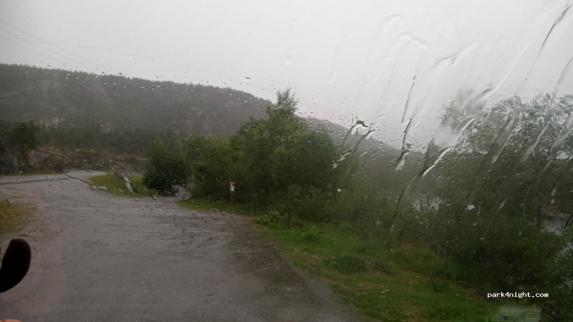 (7818)  - 82 Primær Fylkesveg 769 — foto