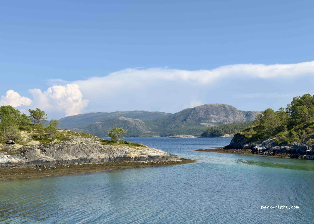 (7818) - 82 Primær Fylkesveg 769 — foto 3
