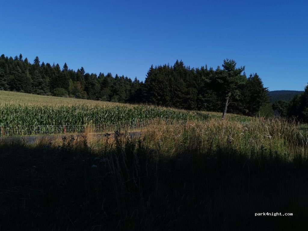 (42660) Saint-Régis-du-Coin - D74 — foto 2