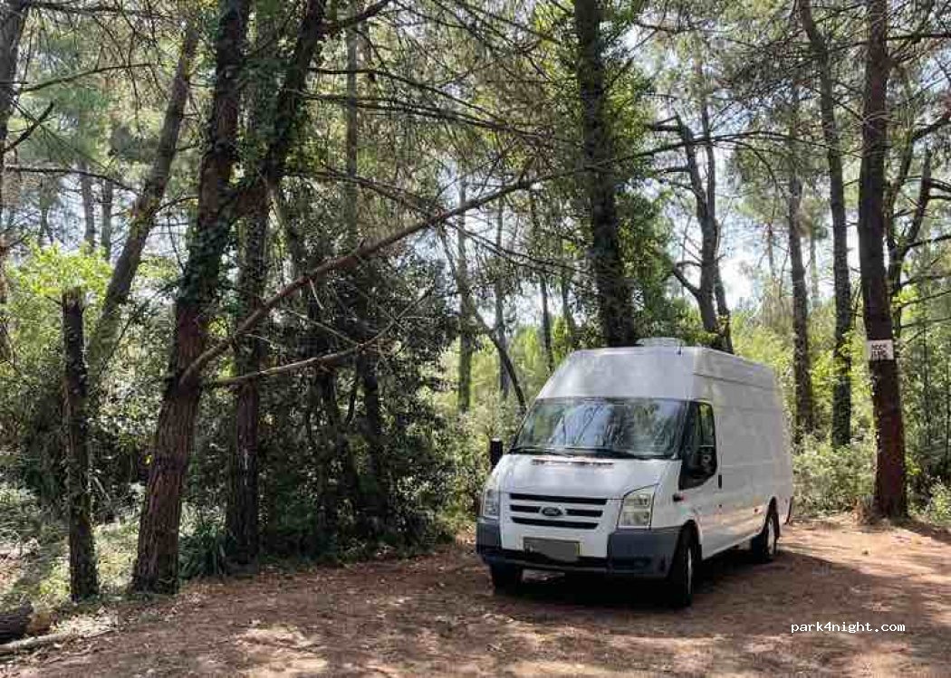 (17580) Le Bois-Plage-en-Ré - Chemin des Mirambelles — foto 4