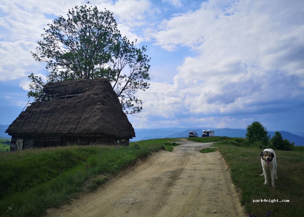 () Valea Poienii - DC104 — foto 4