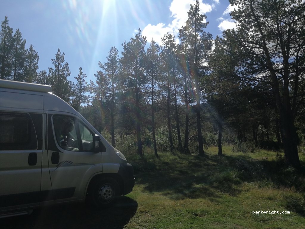 (2584)  - 1 Primær Fylkesveg 29 — foto 3