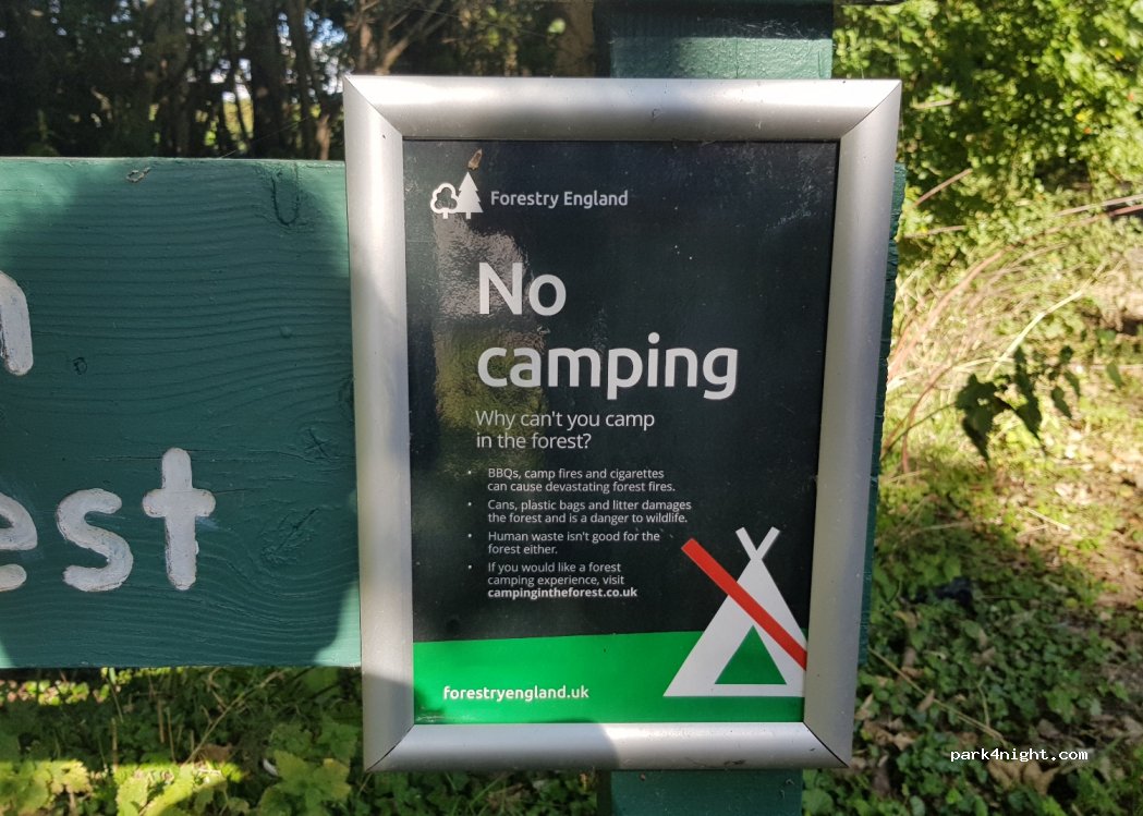 (SN3)  - Nightingale Lane — foto