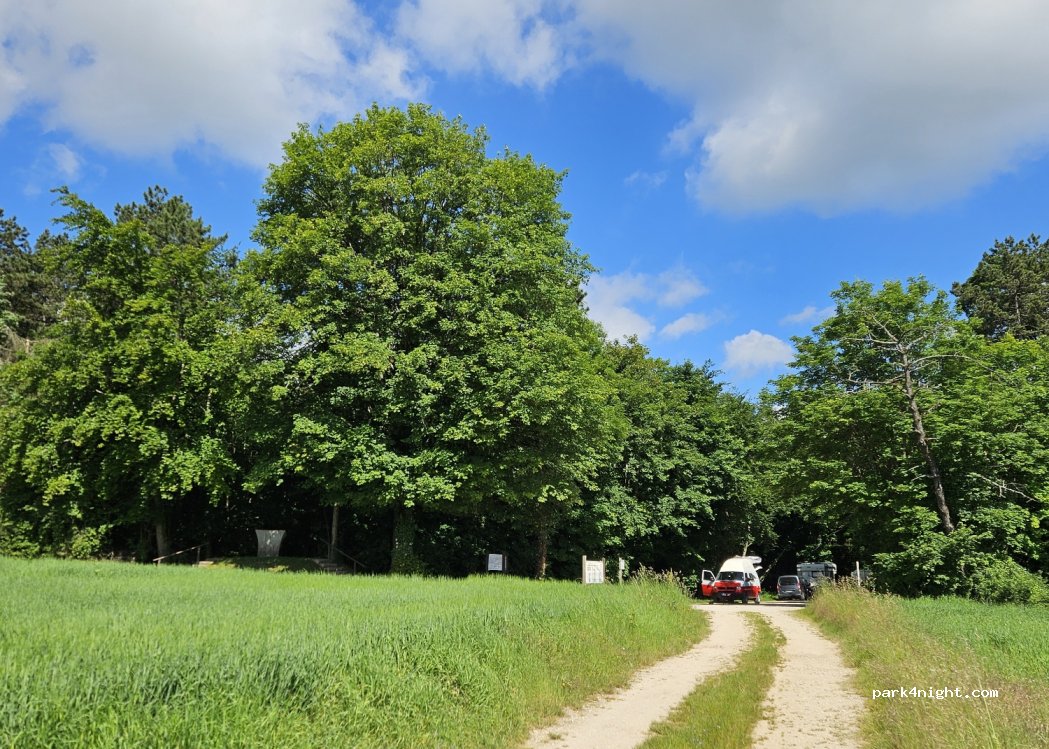 (55300) Apremont-la-Forêt - D907 — foto 3
