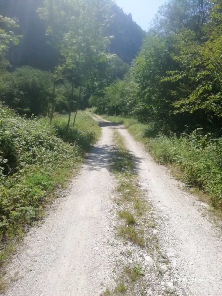 (32036) Sedico - Strada Regionale 203 — foto