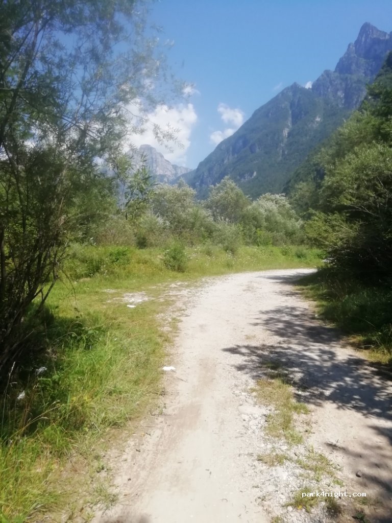 (32036) Sedico - Strada Regionale 203 — foto 2