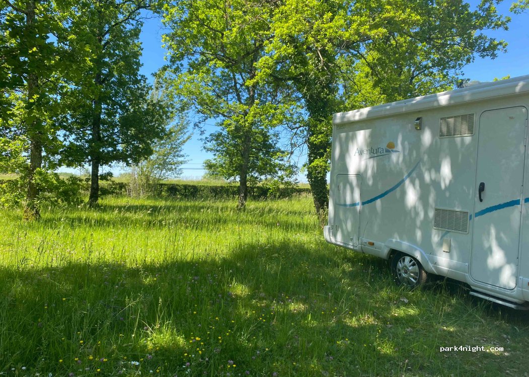 (82270) Montpezat-de-Quercy - 2895 Route de Paris — foto 4