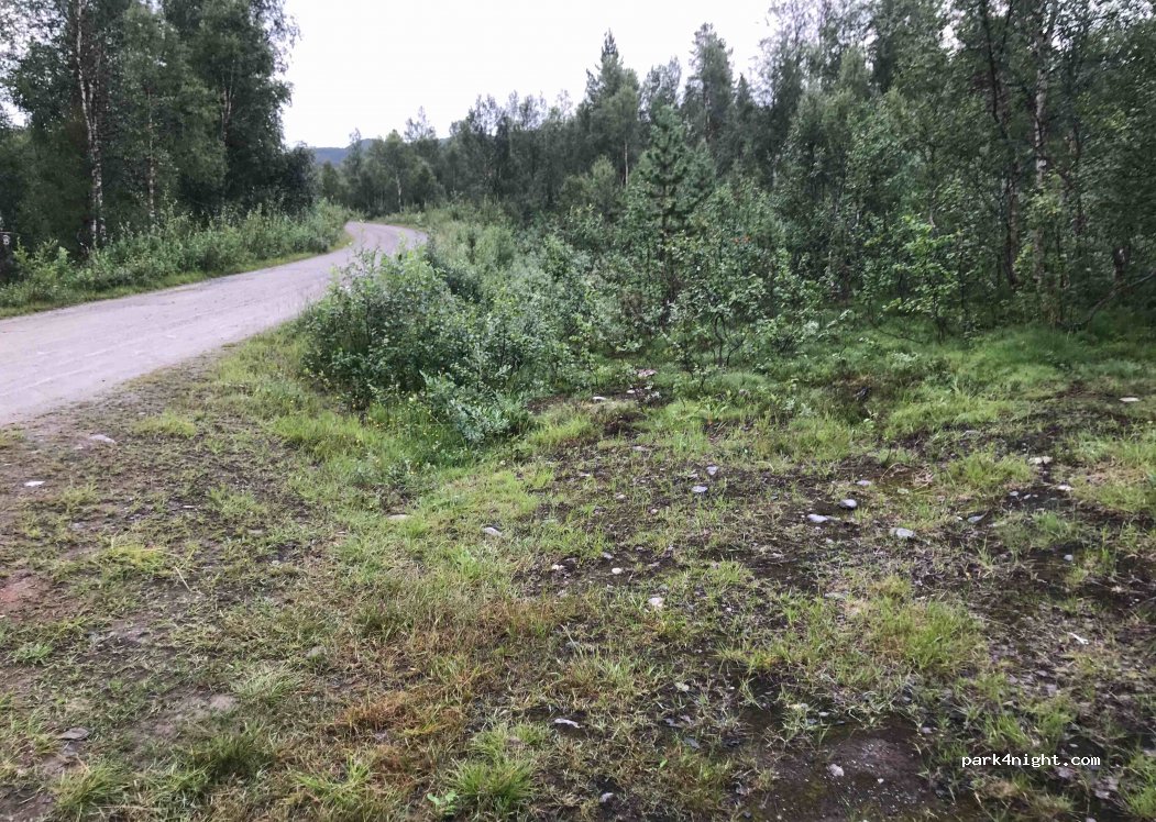 (8100)  - Primær Fylkesveg 812 — foto