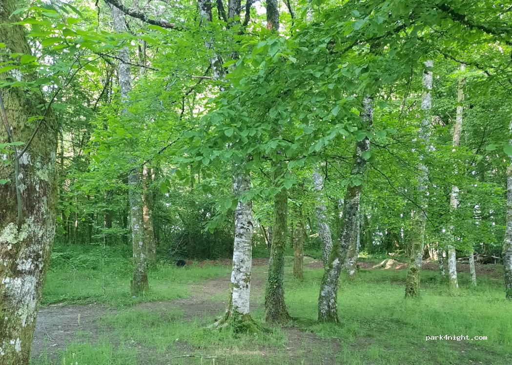 Camping Chataigneraie — foto 4