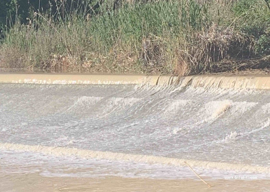 (14700) Palma del Río - Calle Bombilla — foto 3