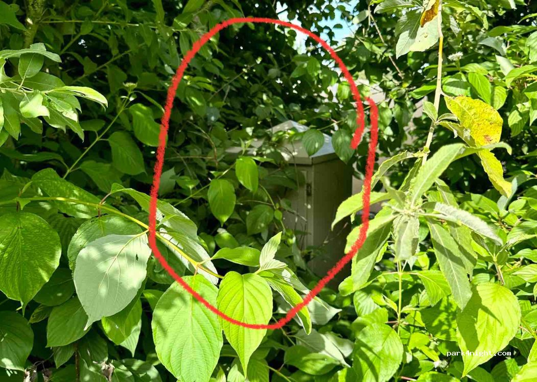 Camping De Kolibrie — foto 3