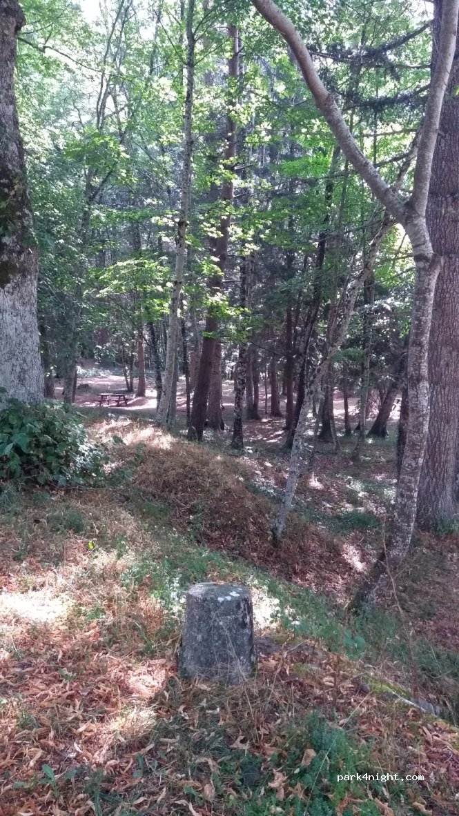 (11390) Les Martys - Route de Mazamet — foto