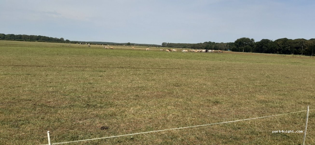 Candy Farm Camp Site — foto