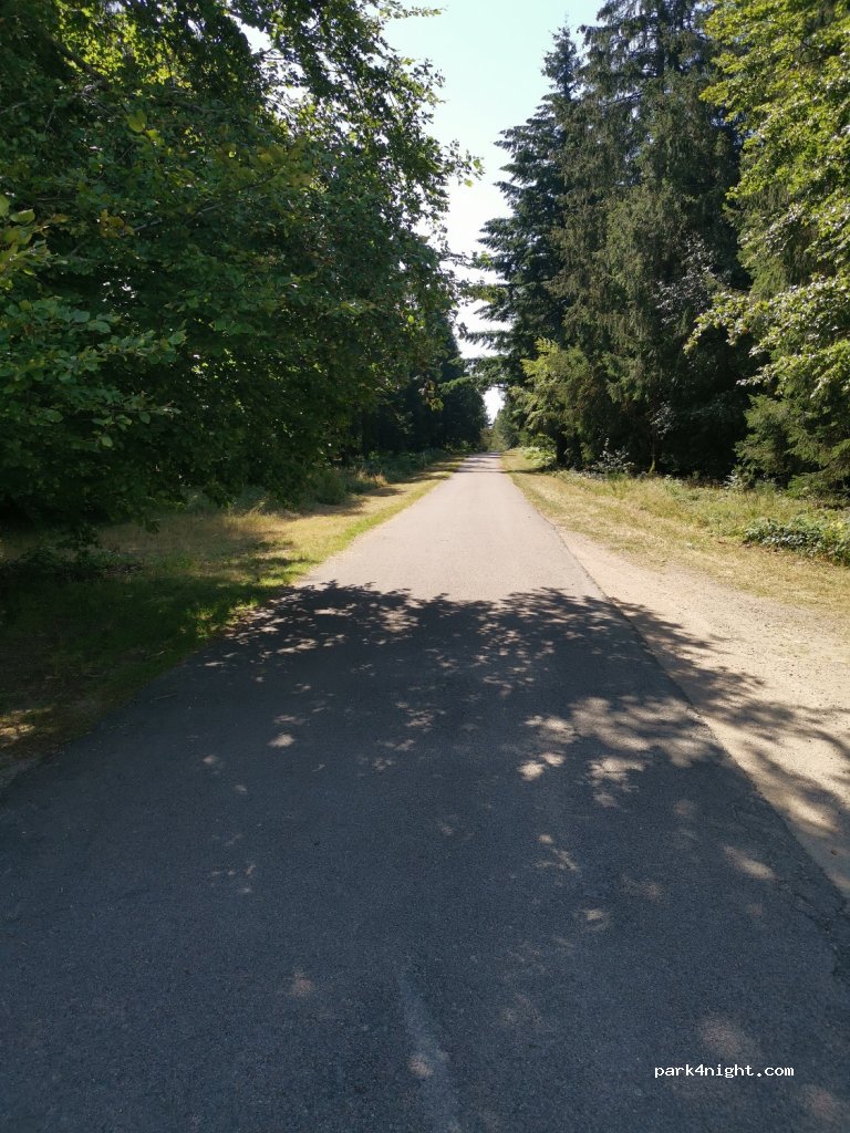 (71990) Saint-Prix - Le Bois du Roy — foto 3