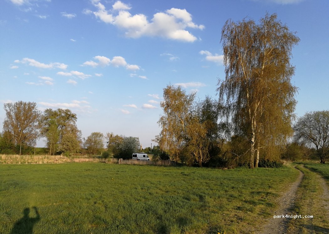 (16269) Wriezen - 13 Neugaul — foto 3