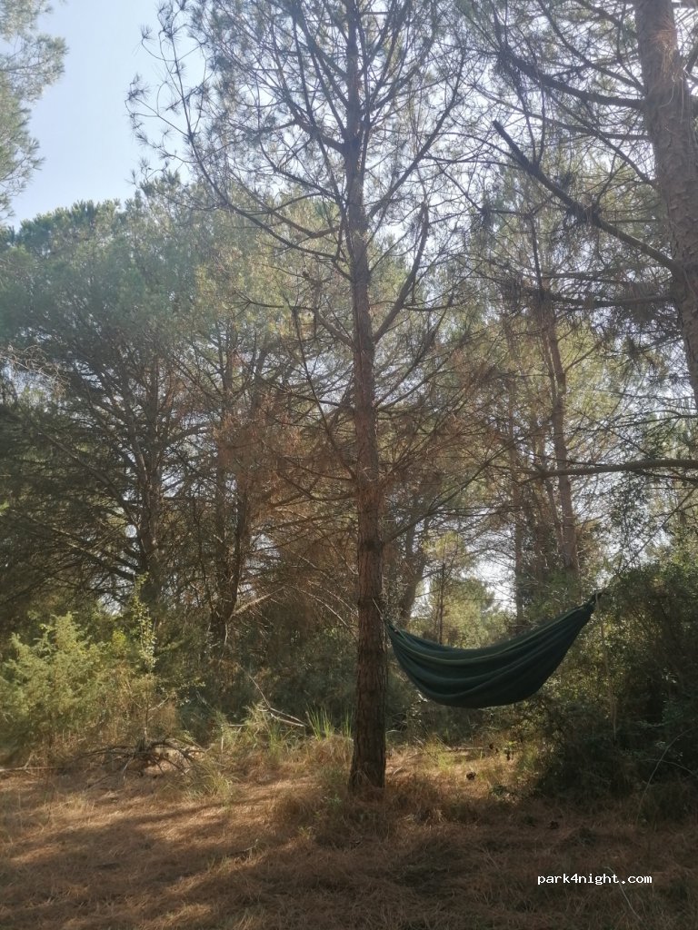 (48123) Ravenna - — foto