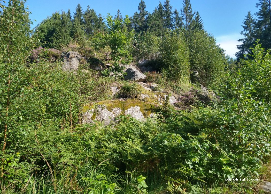 (451 94)  - Unnamed Road — foto 2