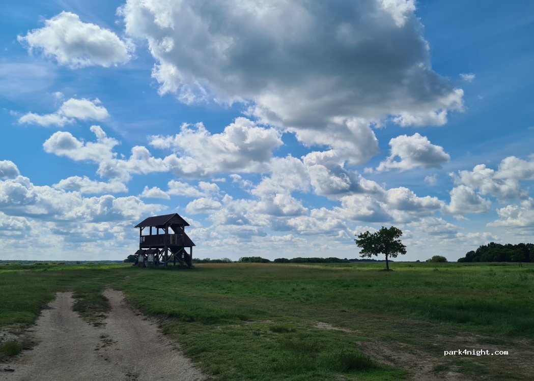 (19-213) Mścichy - Pole namiotowe Biały Grąd — foto 3