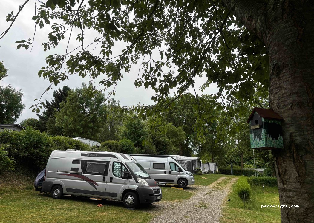 Camping De Bosrand — foto 4