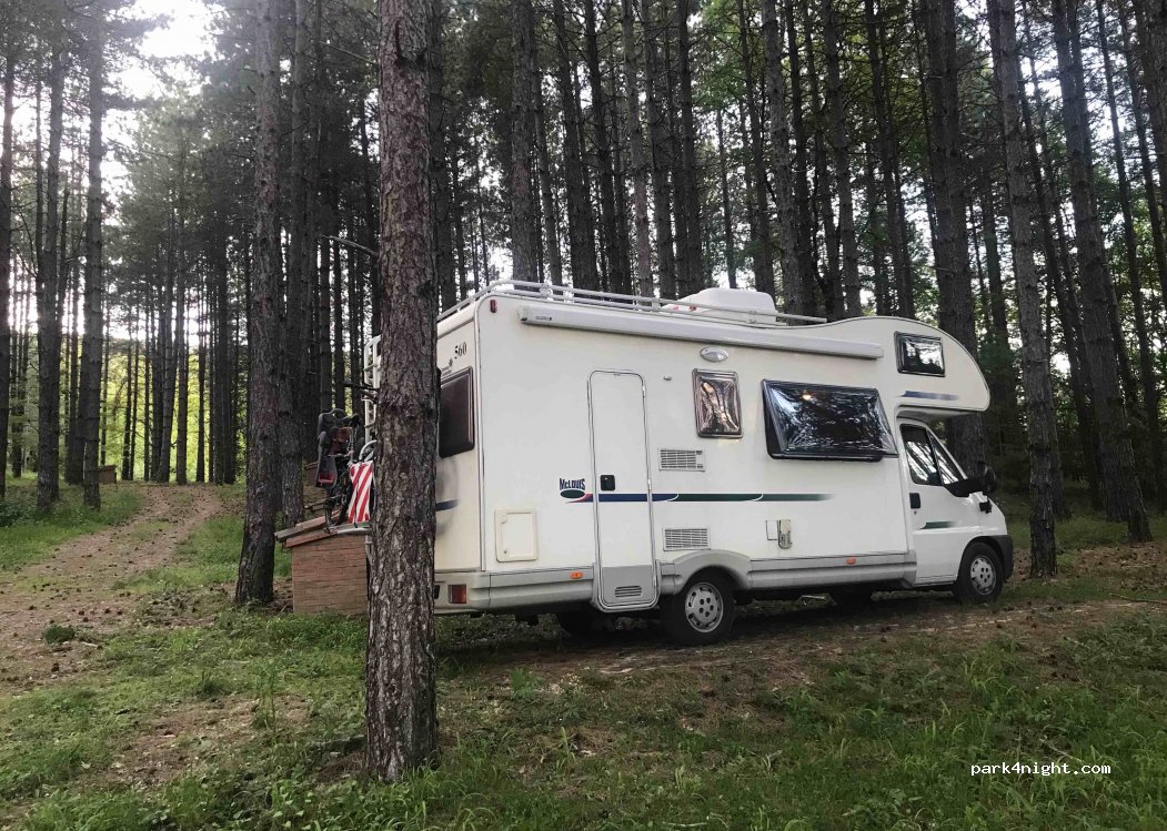 (05011) Allerona - Strada Provinciale 50 — foto