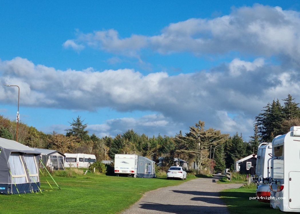 Blokhus By Camping — foto 4