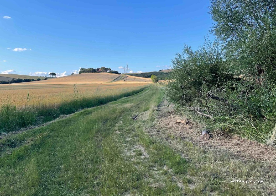 (06061) Castiglione del lago - Unnamed Road — foto