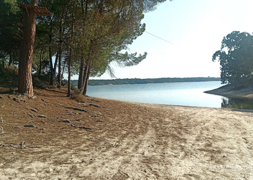 (7425) Montargil - N2 — foto