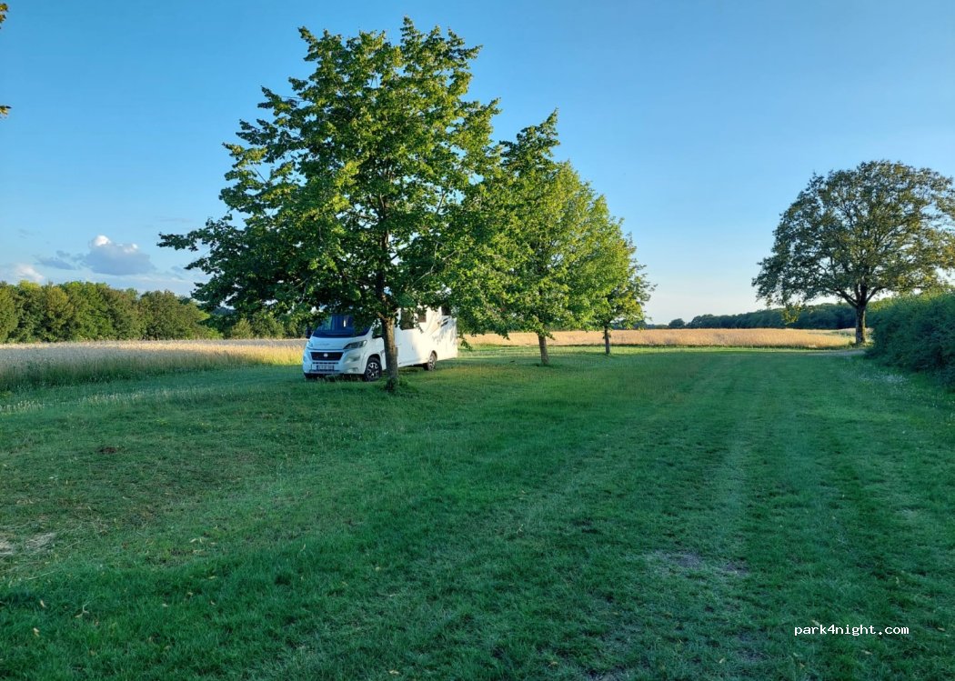 (67320) Berg - Site du Kirchberg — foto 4