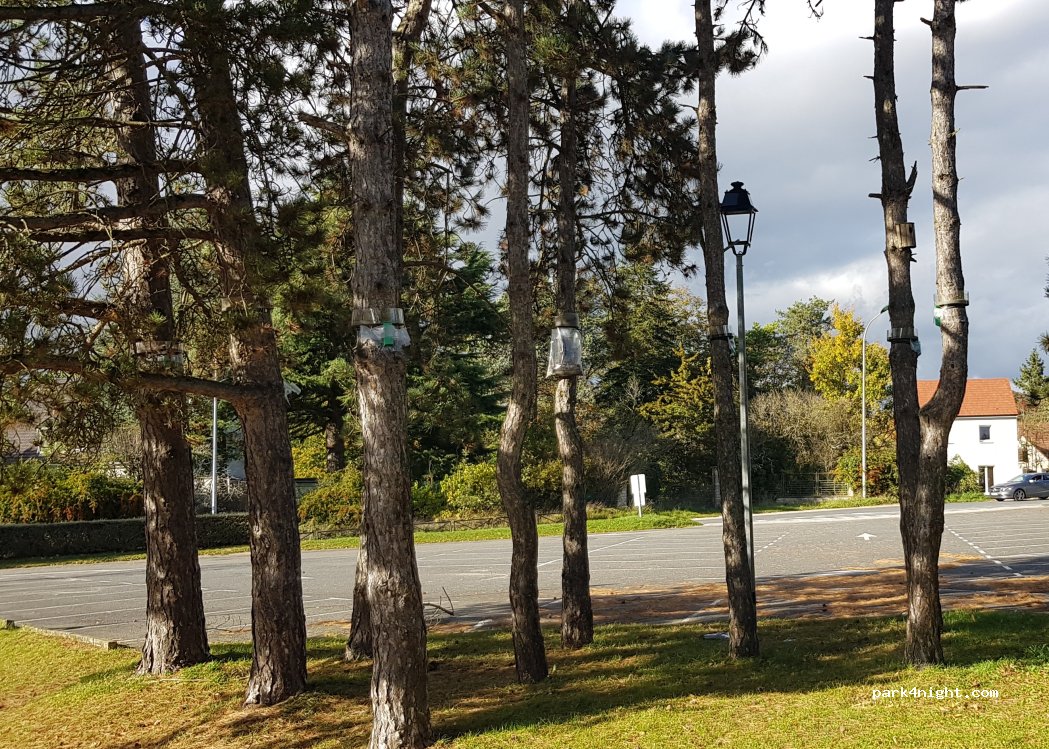 (77460) Souppes-sur-Loing - 6 Rue Jacques Monod — foto 3