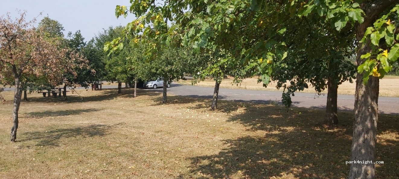 (54538) Hontheim - 24 Wittlicher Straße — foto 2