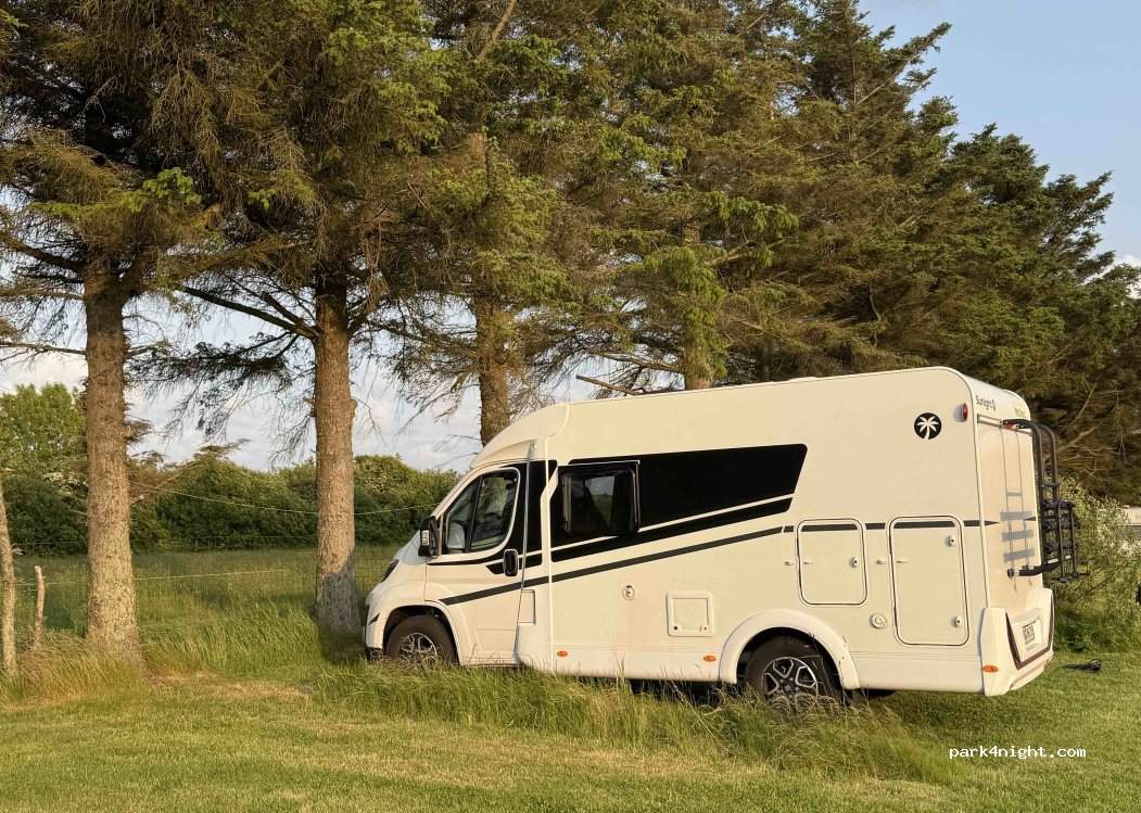 Nissum Fjord Camping — foto 4
