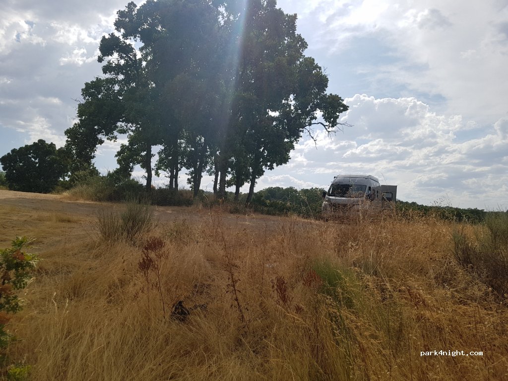(5340) Azibo - Azibo — foto