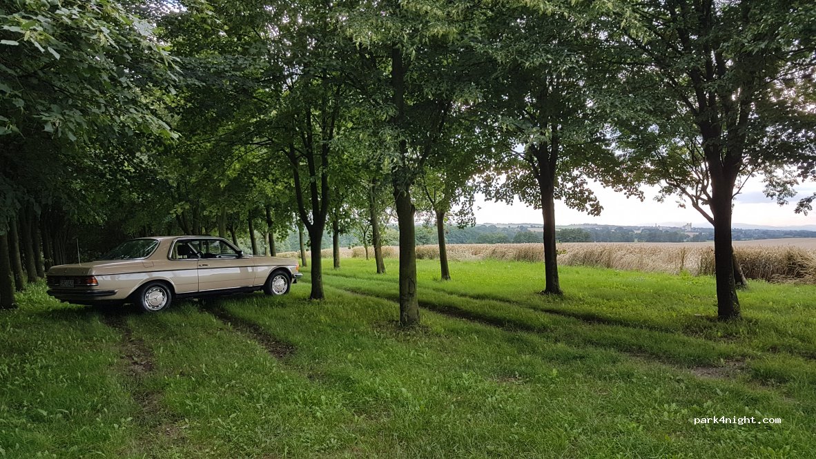 (47-480) Pietrowice Wielkie - Norberta Bończyka — foto 2