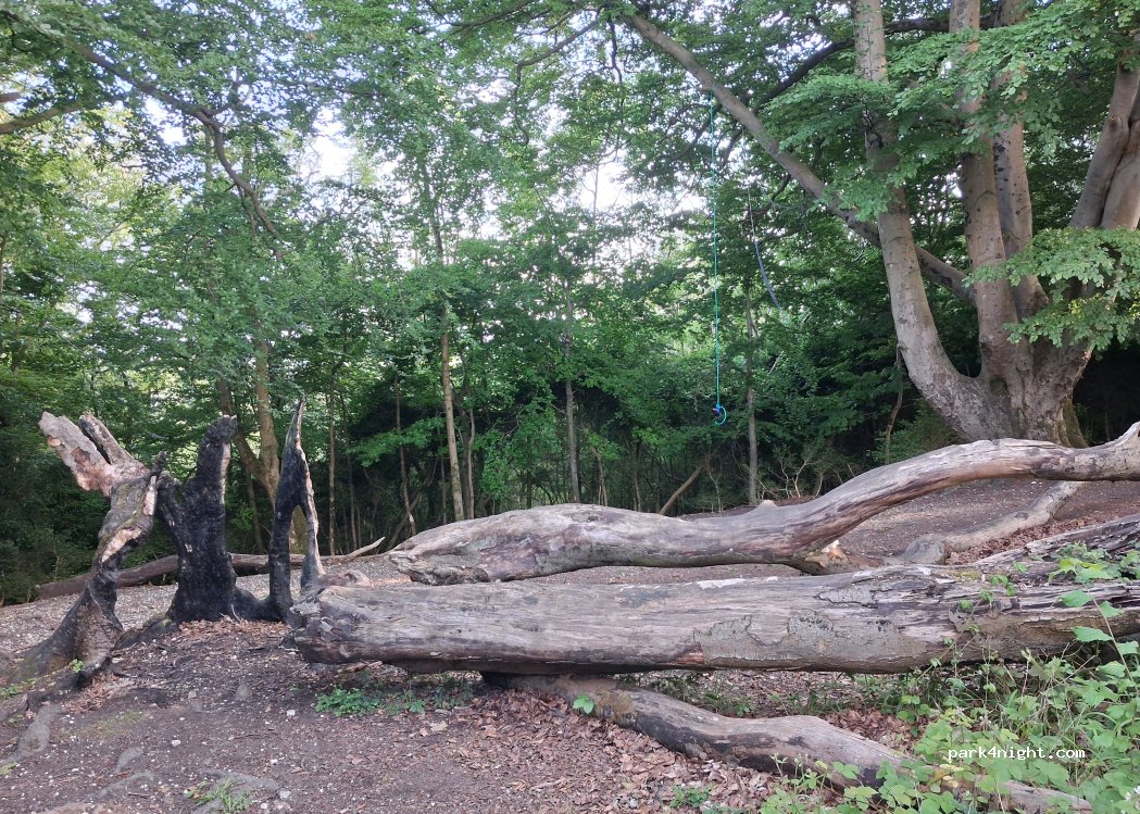 (SN10 2HY) Roundway - Conscience Lane — foto 3
