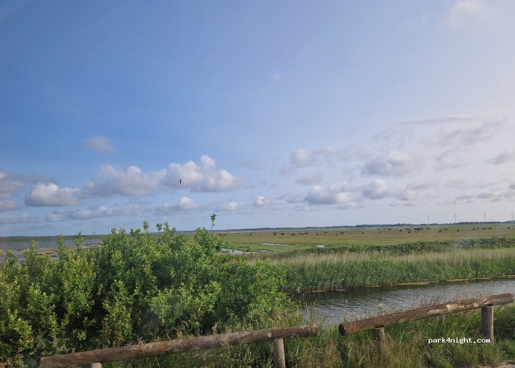 (9690) Fjerritslev - Bygholmvejlevej — foto 4