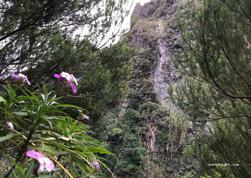 (9230) - 9 Levada do Caldeirão Verde — foto 2